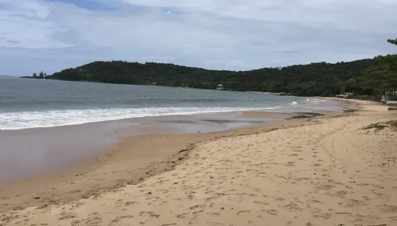 Praia de areia com ondas suaves, cercada por uma encosta verdejante e um céu nublado.