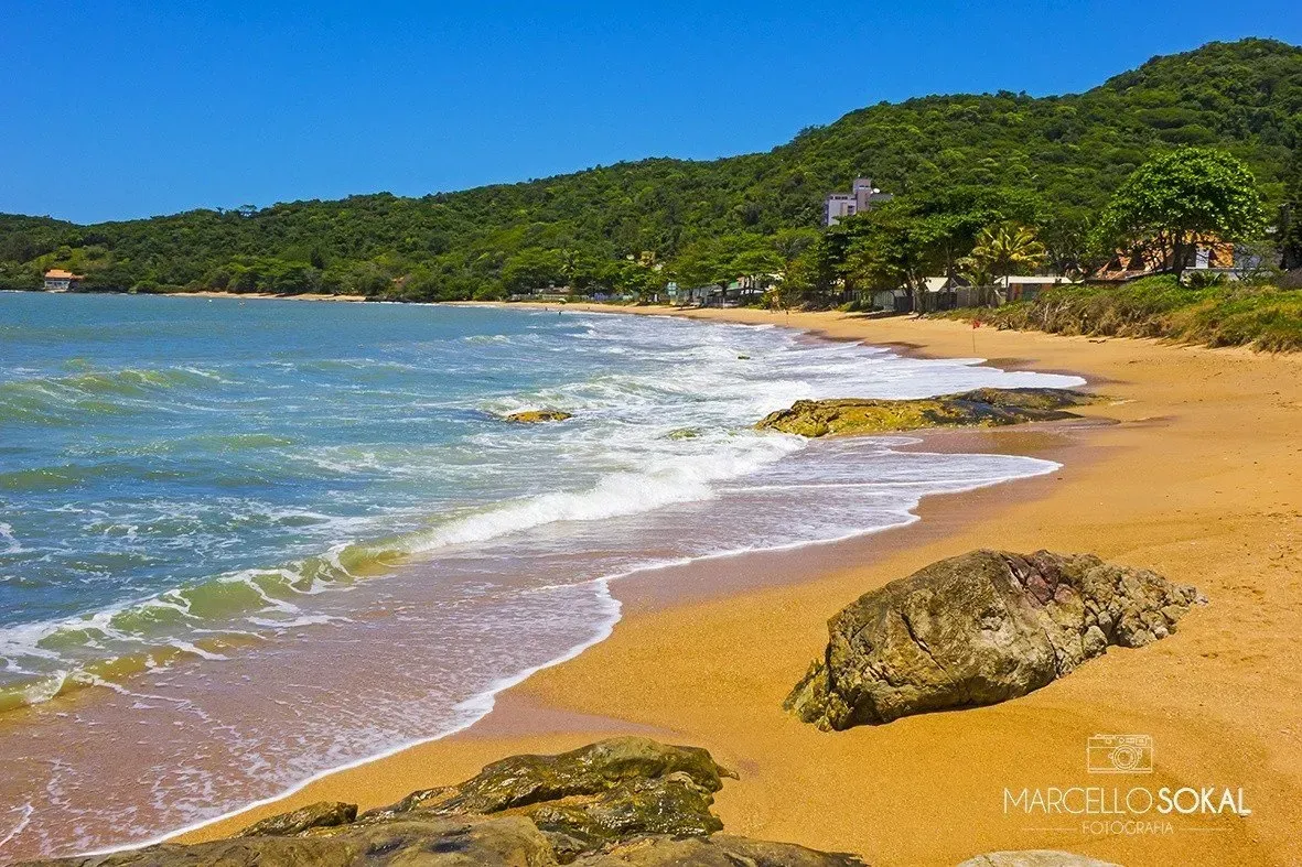 Praia de areia com ondas suaves sob um céu azul claro, com uma encosta verdejante ao fundo.