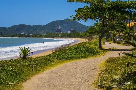 Um caminho de areia leva a uma praia com ondas quebrando sob um céu azul brilhante. Vegetação verdejante margeia o caminho, com uma montanha ao fundo.