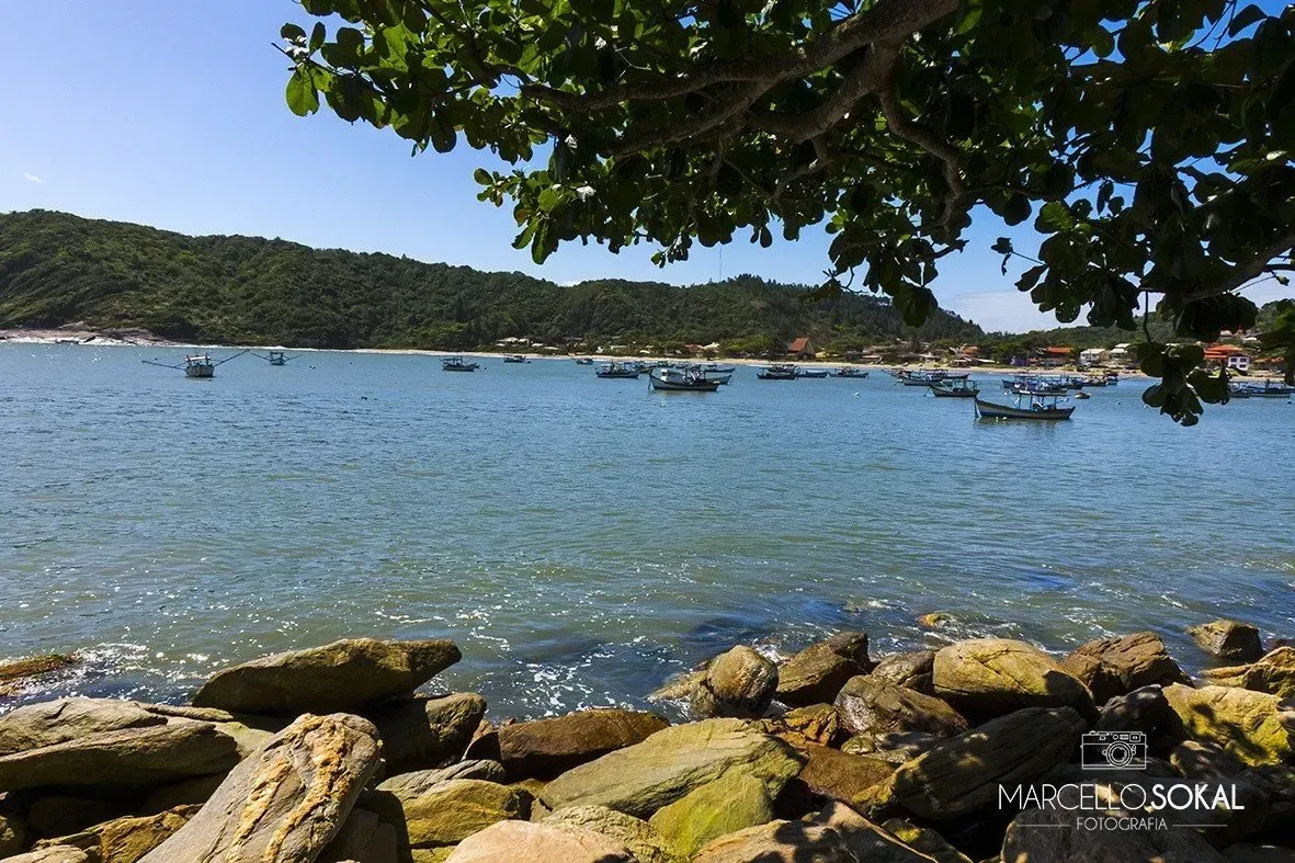 Cena calma de oceano azul com barcos, litoral rochoso e folhagem verde em um cenário montanhoso sob um céu claro.