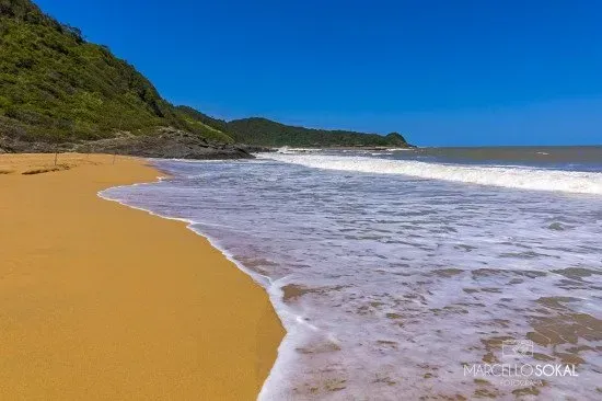 Praia de areia dourada com ondas suaves batendo na costa, uma colina verdejante surge ao fundo sob um céu azul claro.