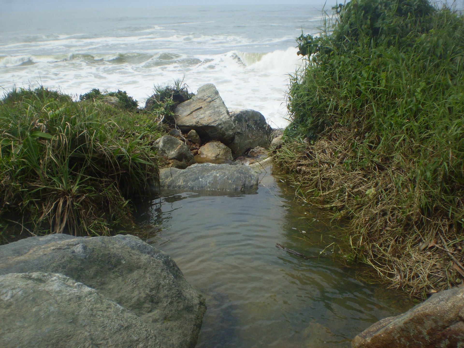 Um pequeno riacho flui através de rochas e grama em direção ao oceano em um dia nublado.