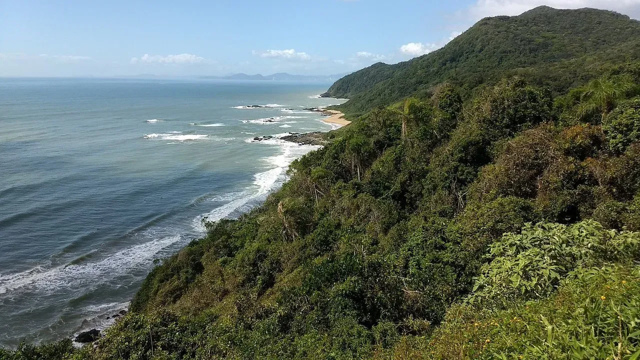 Ondas do oceano quebrando em um litoral rochoso, cercado por uma floresta verdejante sob um céu nublado.