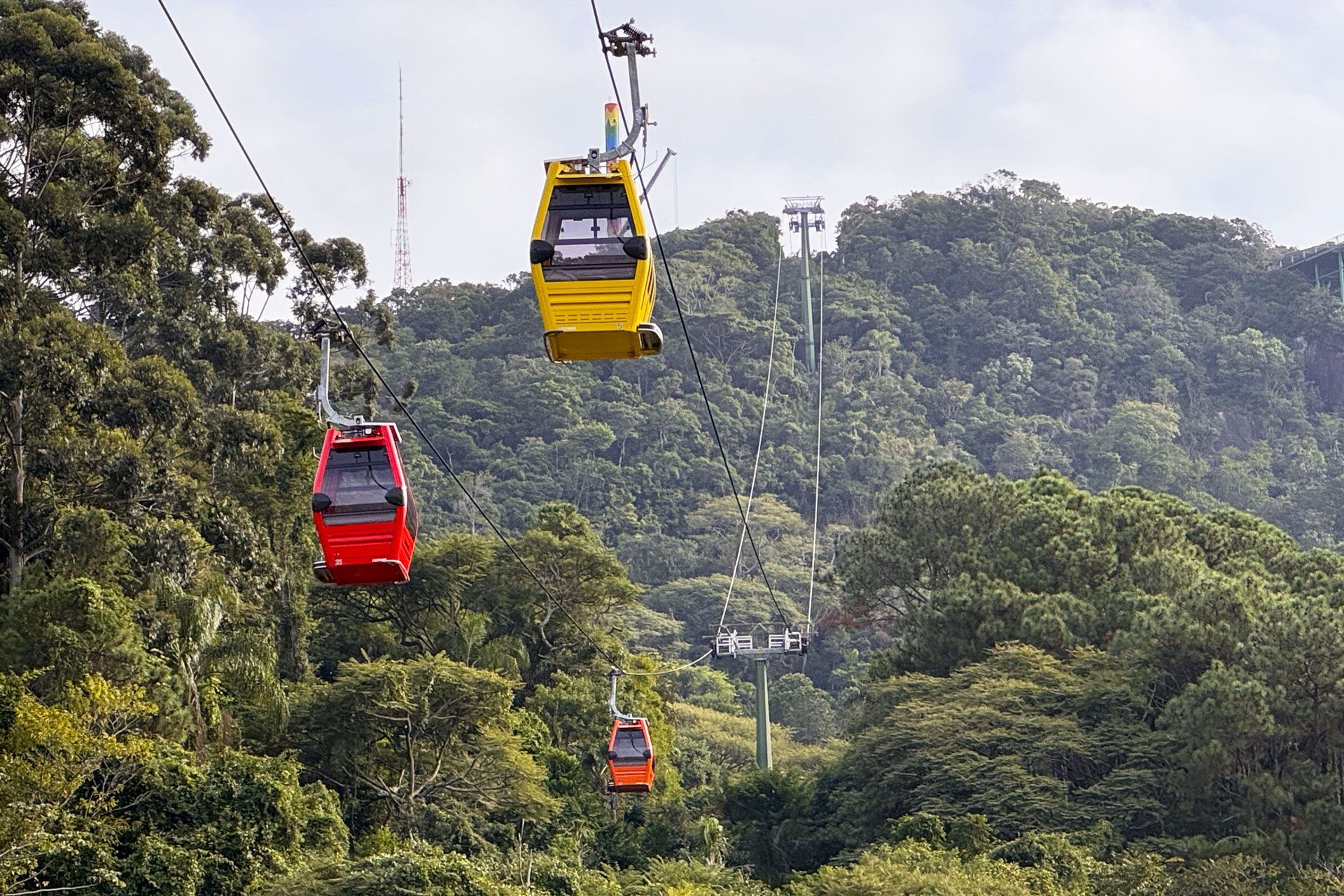 Bondes, vermelhos e amarelos, atravessam uma floresta verdejante. O céu está parcialmente nublado.