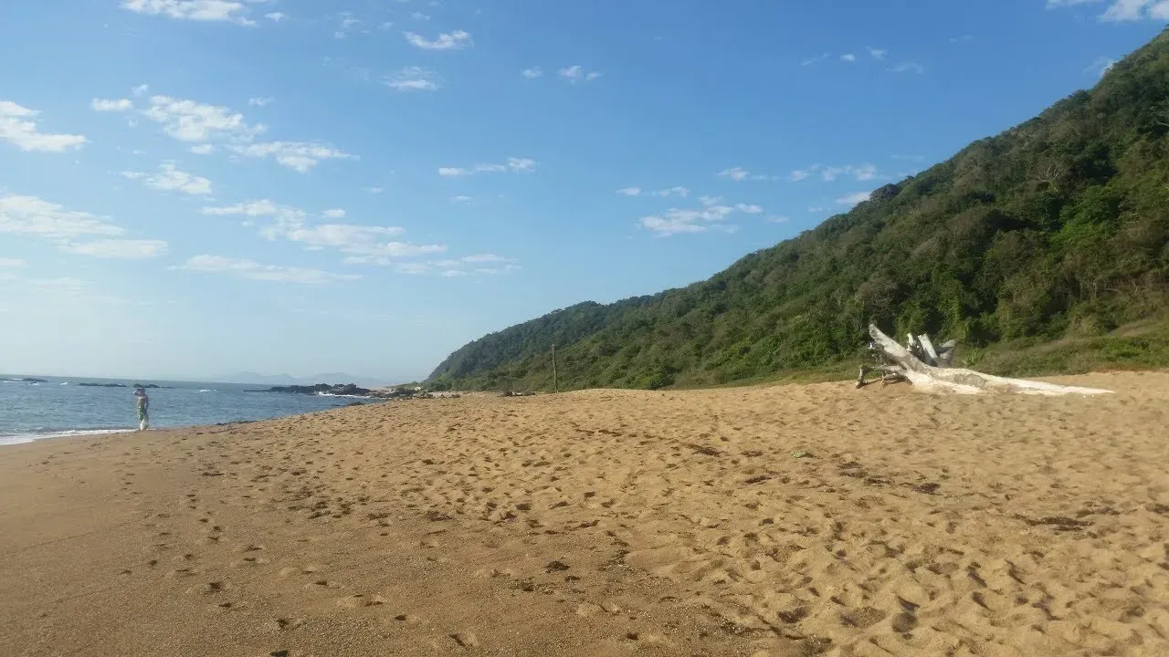 Praia de areia com uma encosta verde à direita e céu azul acima. O oceano é visível à esquerda.