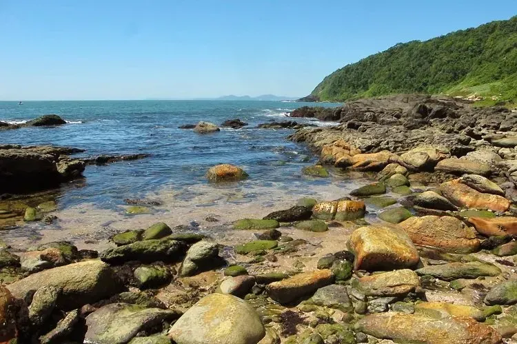 Litoral rochoso com águas cristalinas, encostas verdes e céu azul.