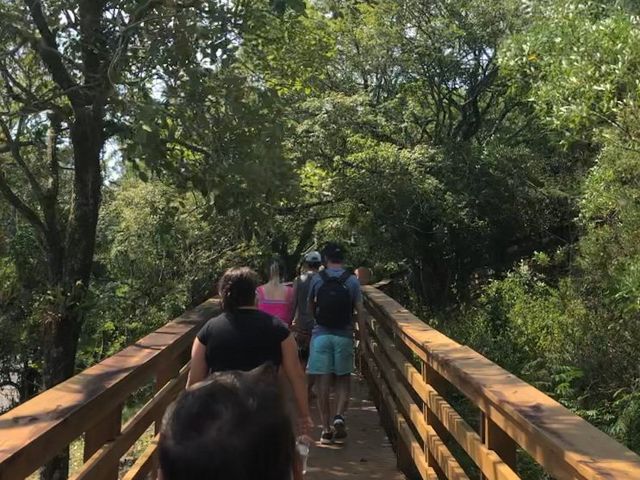 As melhores trilhas em Ingleses do Rio Vermelho, Santa Catarina (Brasil)