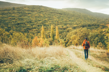 Artigos com dicas de trilhas