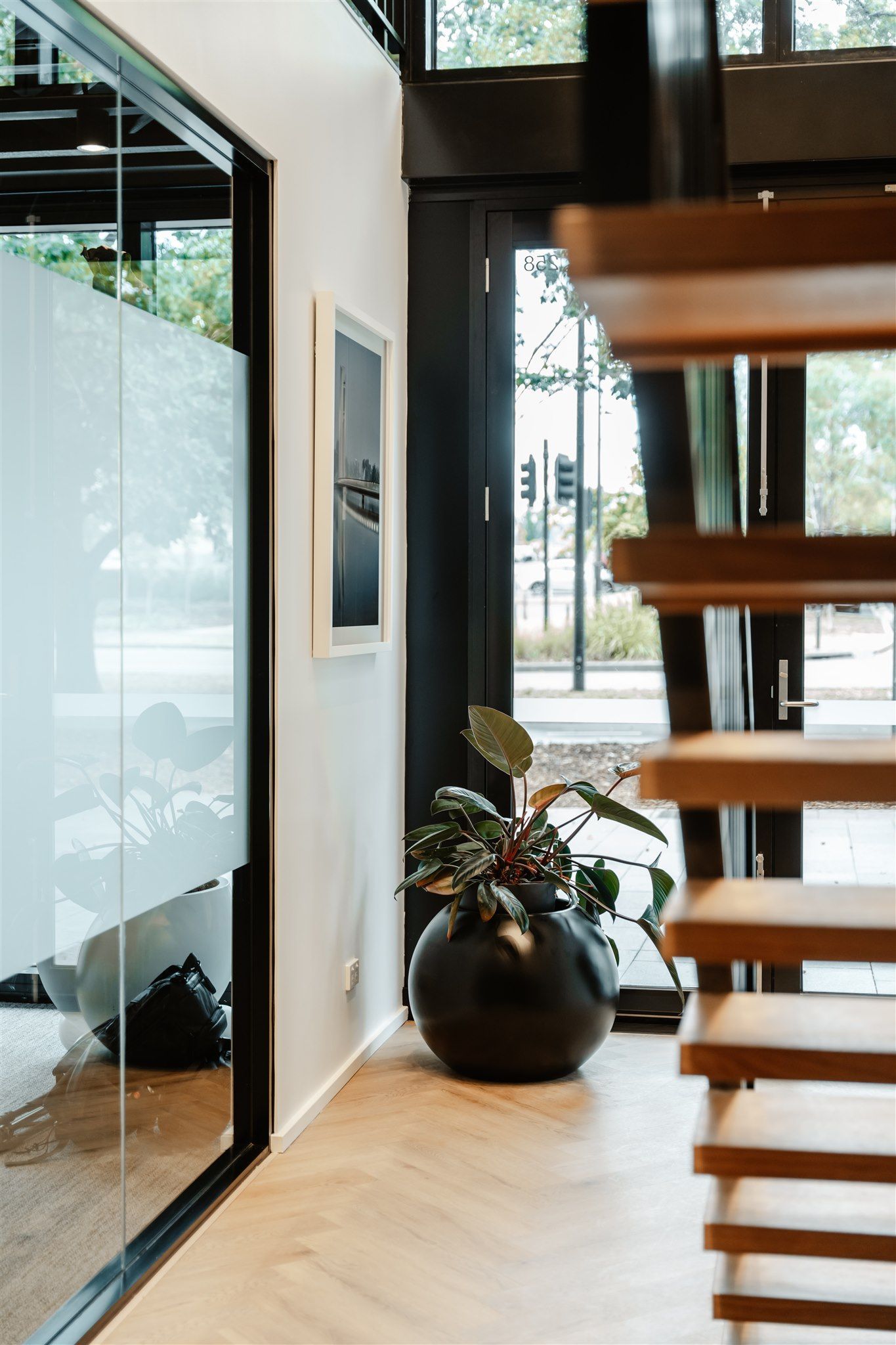 A Potted Plant is Sitting on the Floor Next to a Wooden Staircase — Moltus Construction in Braddon, ACT