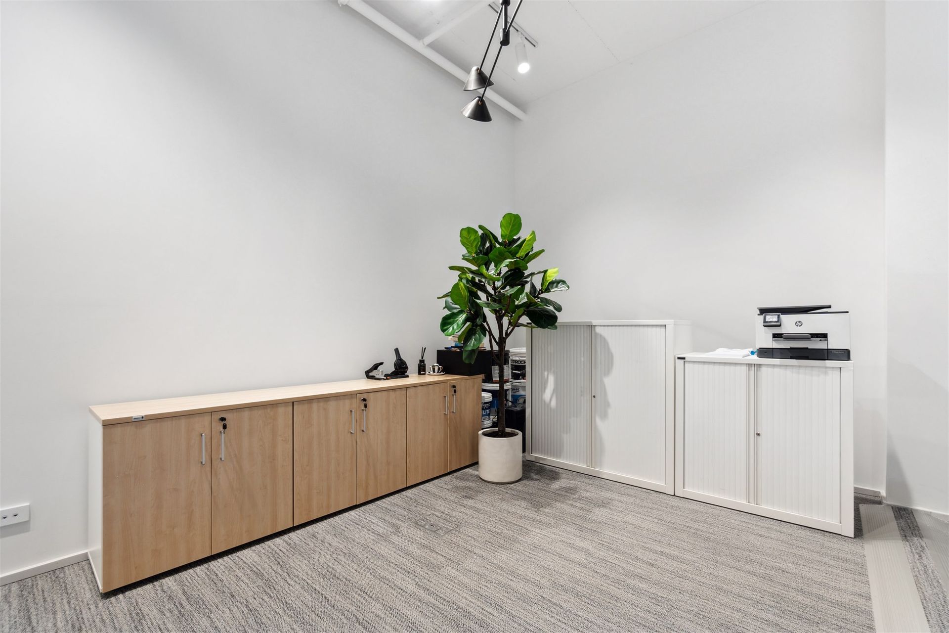There is a Plant in the Middle of the Room — Moltus Construction in Braddon, ACT