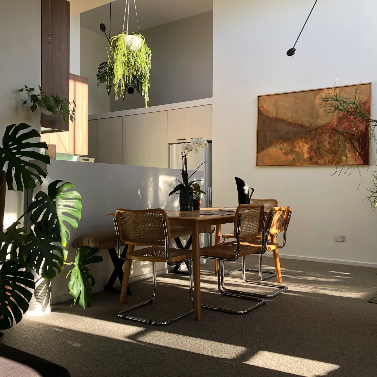 A Living Room with a Table And Chairs and Plants— Moltus Construction in Braddon, ACT