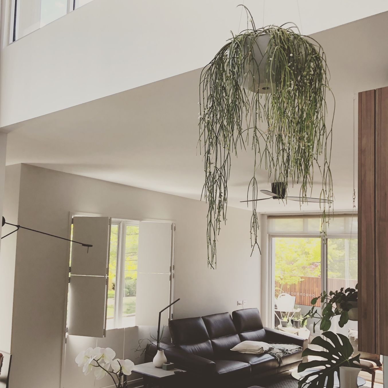 A Living Room with Plants and Sofa — Moltus Construction in Braddon, ACT