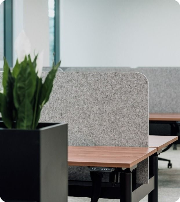 A Potted Plant Is Sitting Next To A Desk In An Office Cubicle   — Moltus Construction in Brisbane, QLD