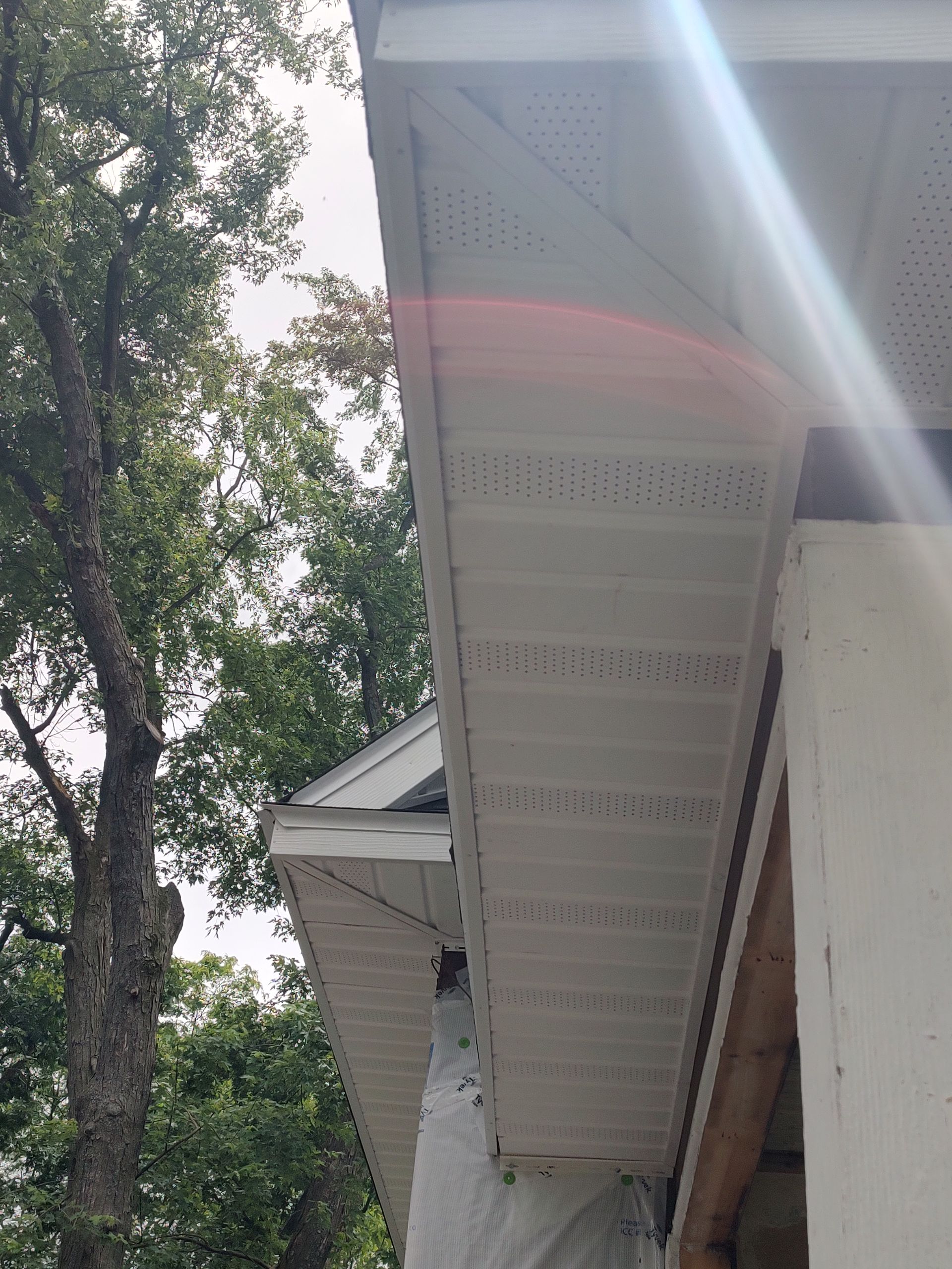 The sun is shining through the trees on the roof of a house.