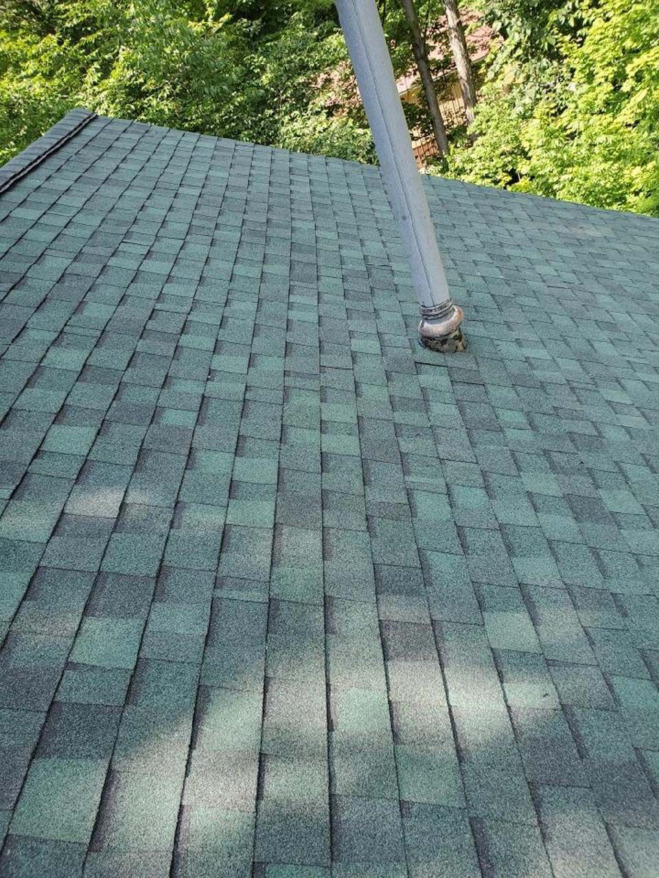 A green roof with a chimney on it and trees in the background.