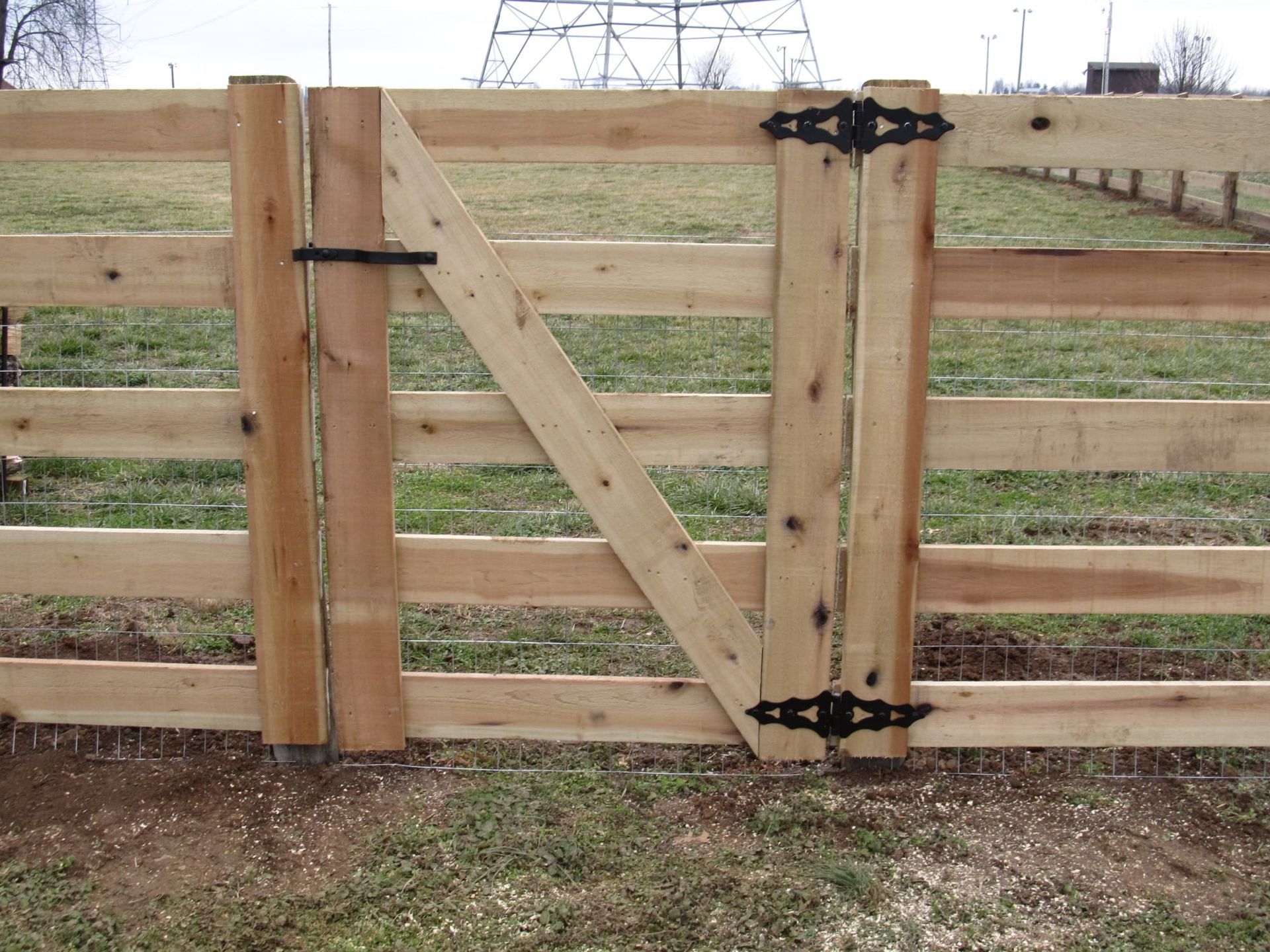 Wooden farm gate with black hinges and diagonal brace in a fenced pasture