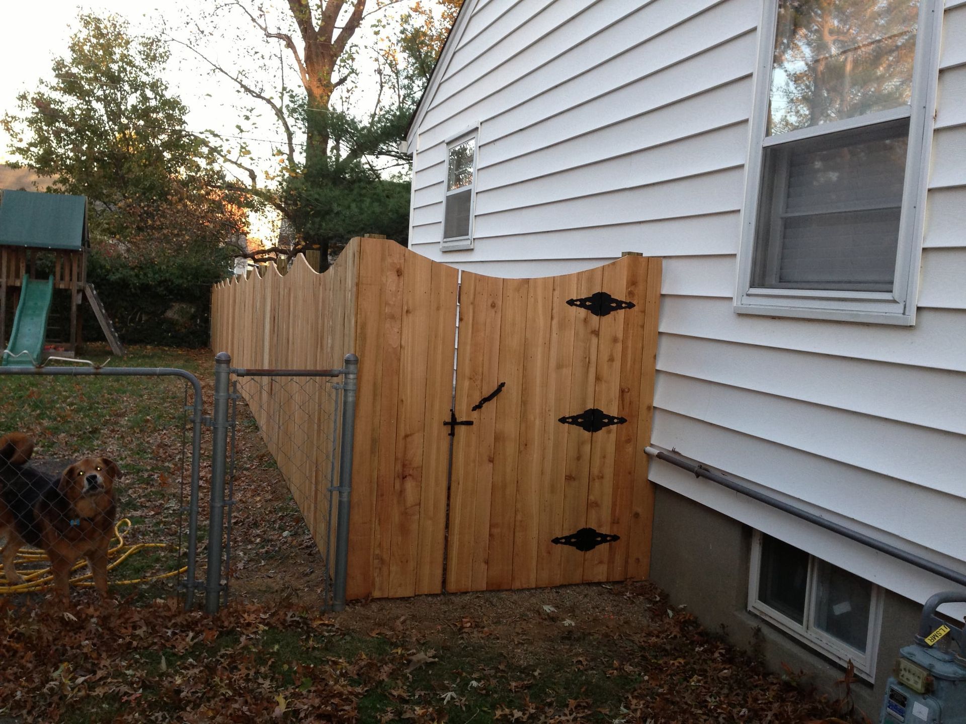 Wooden gate beside white house, with a dog in the yard and fall leaves on the ground.