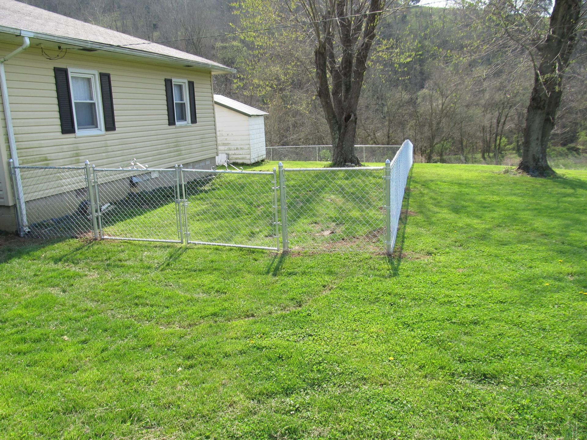 Small chain-link dog pen beside a yellow house on a grassy yard with trees.
