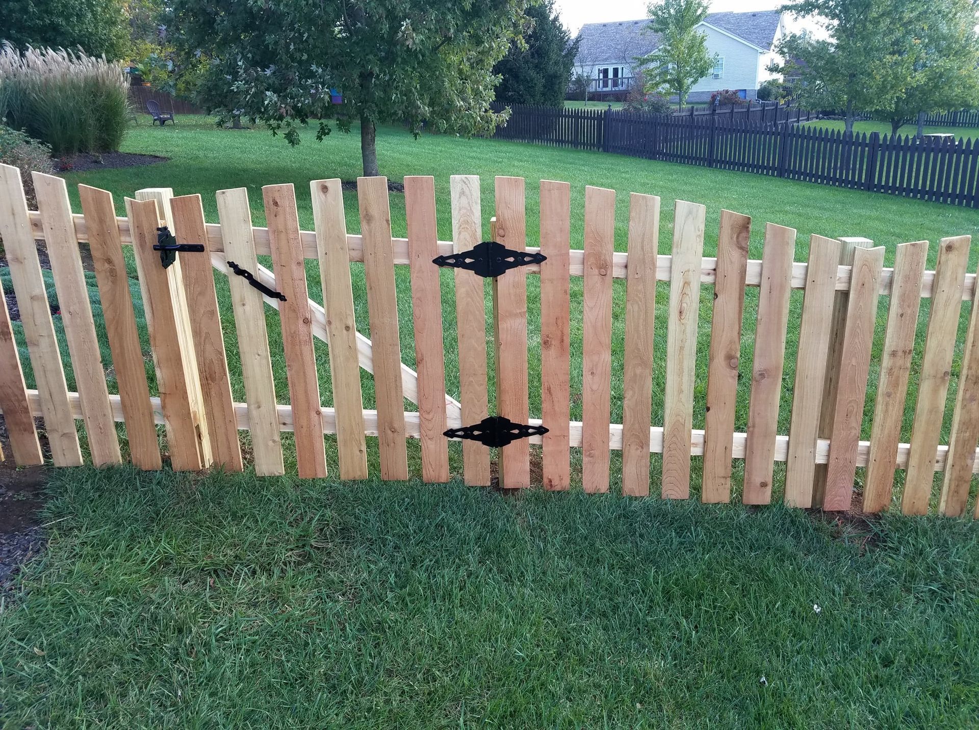 Wooden garden gate with black hinges in a grassy backyard, framed by a fence and trees.