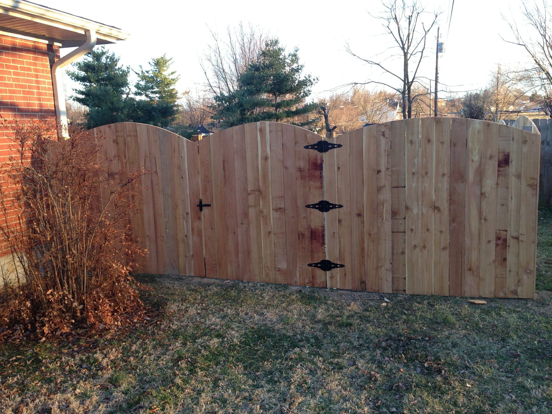 Wooden backyard fence with double gate, surrounded by grass and autumn shrubs.