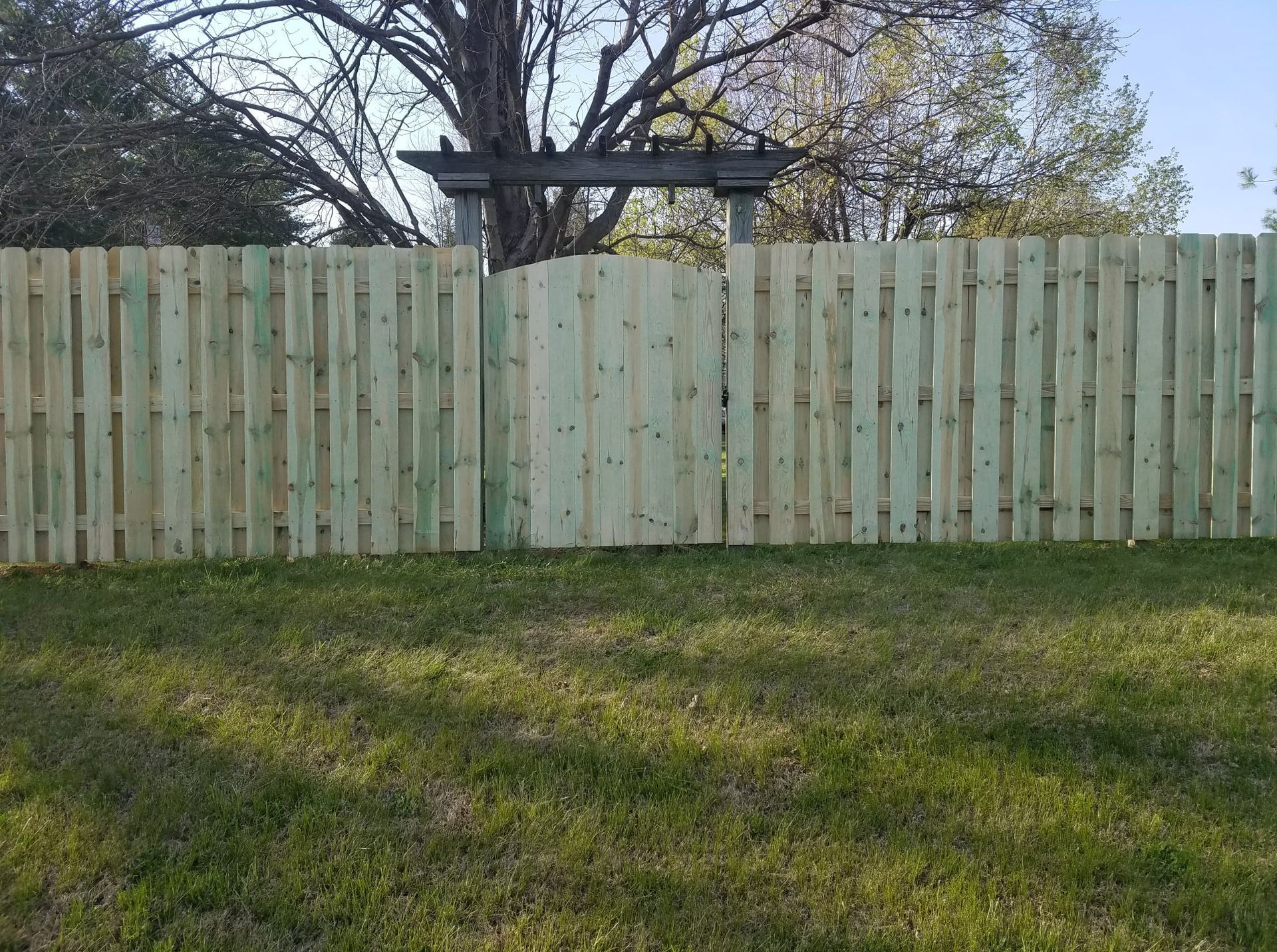 A light wooden privacy fence with trees behind it and grassy yard in front.