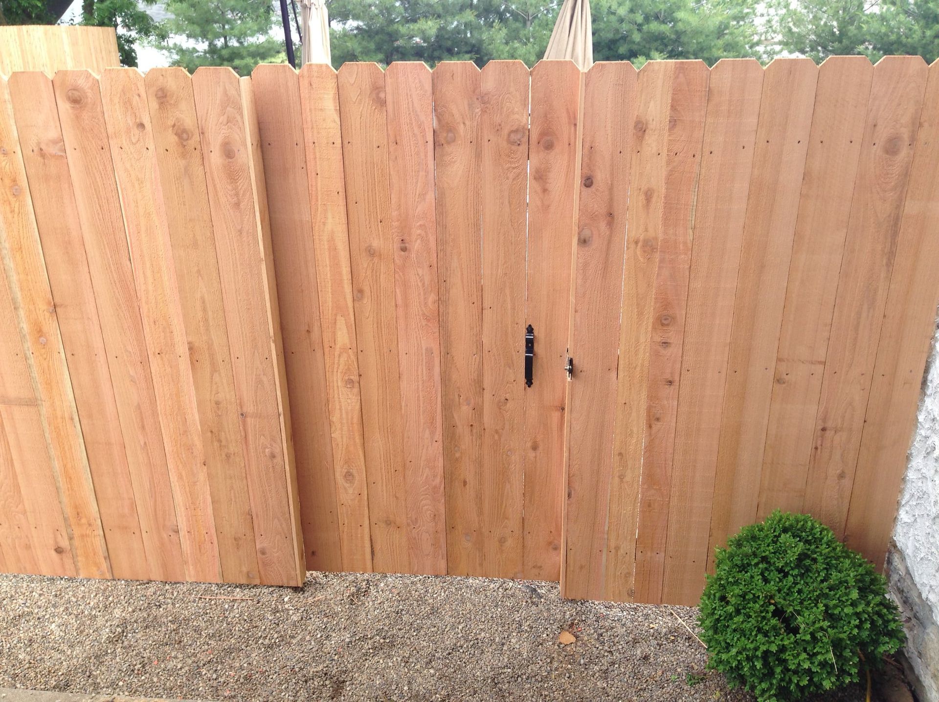 Wooden double gate in a gravel yard, with a small green bush at the right corner.
