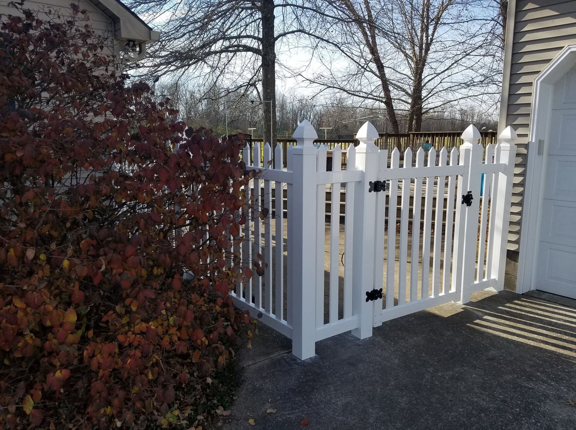 White picket fence gate beside a driveway, with a burgundy hedge and house siding in the background.