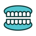 Diagram of a set of teeth, showing the upper and lower teeth with gums. The upper teeth are light blue, while the lower teeth and gums are reddish-pink.