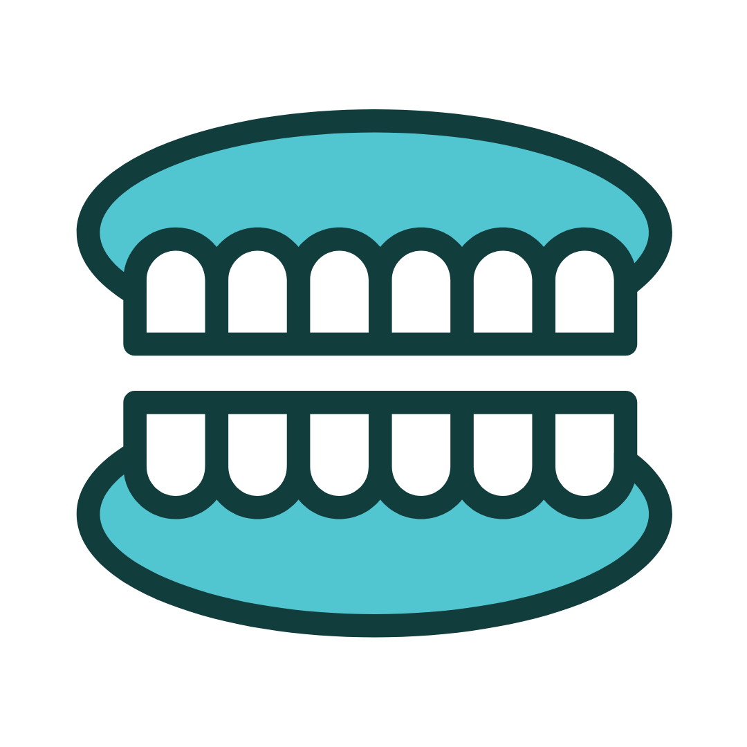 Diagram of a set of teeth, showing the upper and lower teeth with gums. The upper teeth are light blue, while the lower teeth and gums are reddish-pink.