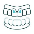 Diagram of a set of teeth, showing the upper and lower teeth with gums. The upper teeth are light blue, while the lower teeth and gums are reddish-pink.