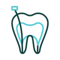 Tooth cross-section with a teal inner core. A thin line and a teal tool depict a root canal procedure.