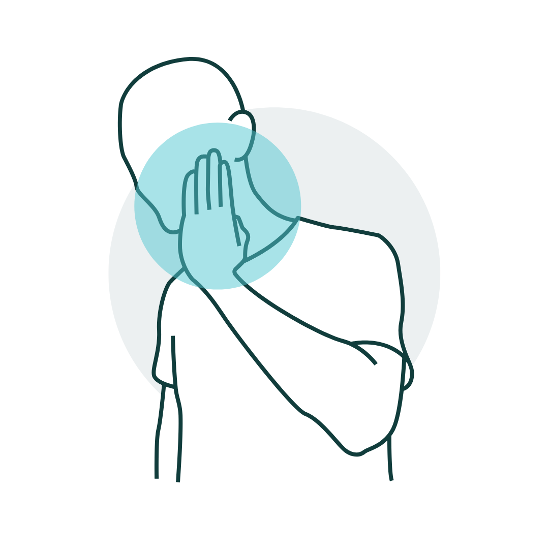Diagram of a set of teeth, showing the upper and lower teeth with gums. The upper teeth are light blue, while the lower teeth and gums are reddish-pink.