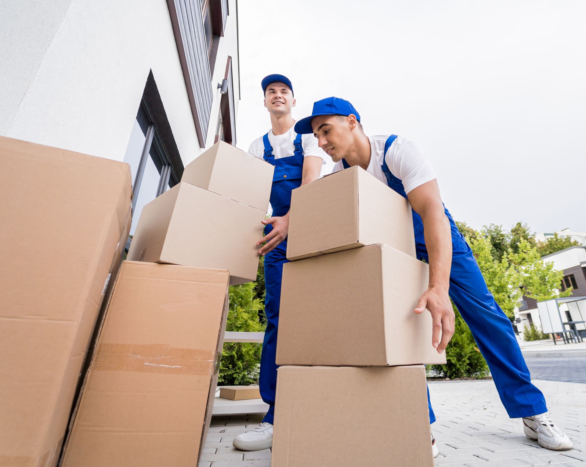professional move coordinators