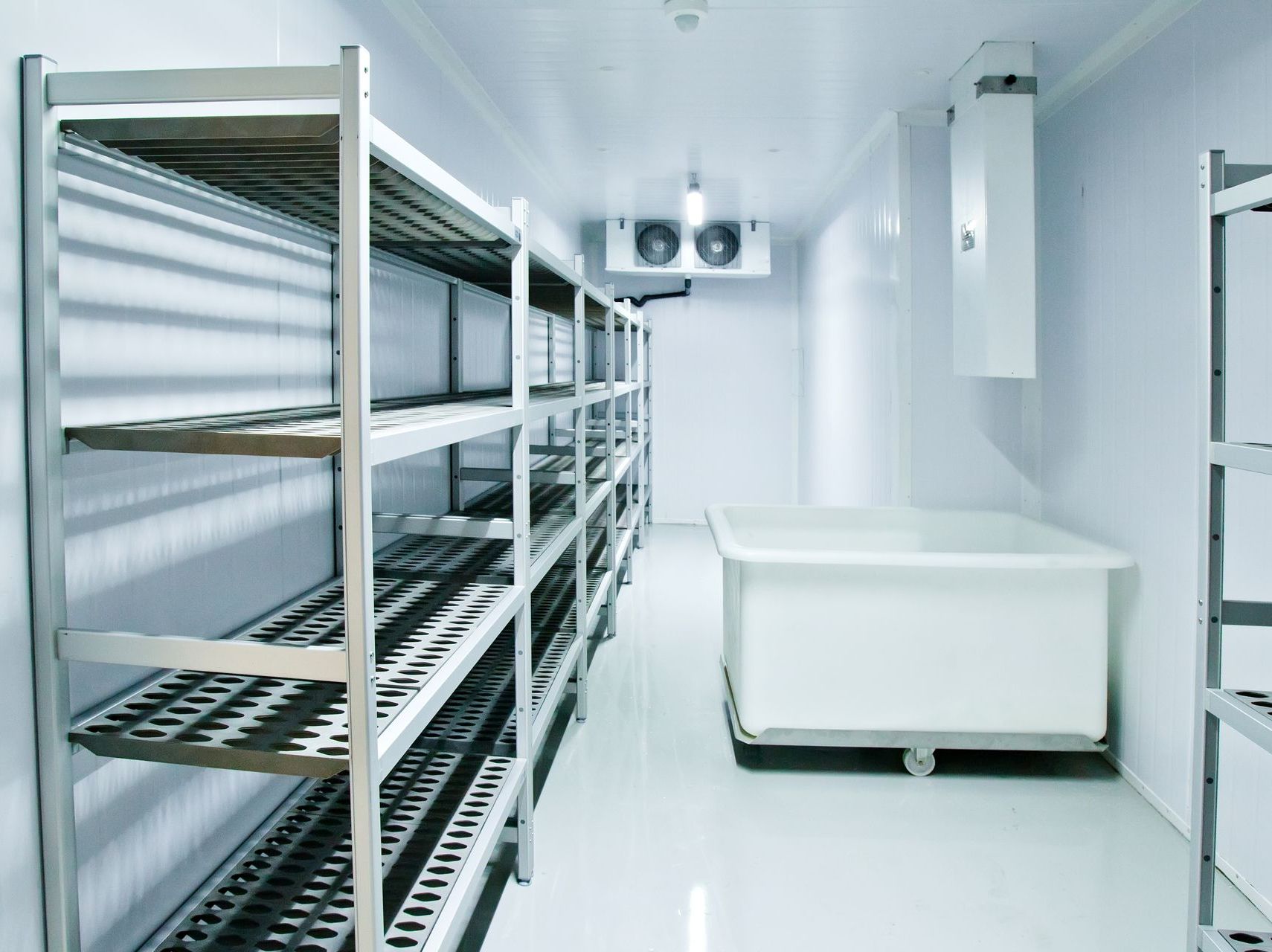 An interior view of a refrigerating chamber in a store, showcasing various refrigeration equipment, including display cases, shelves, and cooling units.