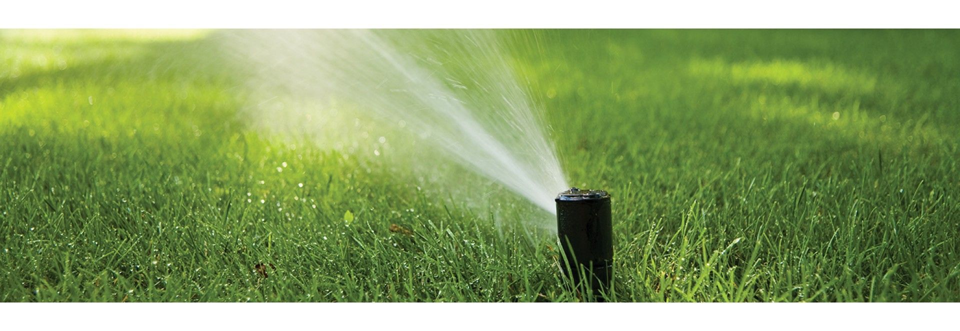 Sprinkler watering green grass on a sunny day.