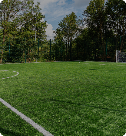 Green turf soccer field, trees in background, goal post to the right, and white field lines.