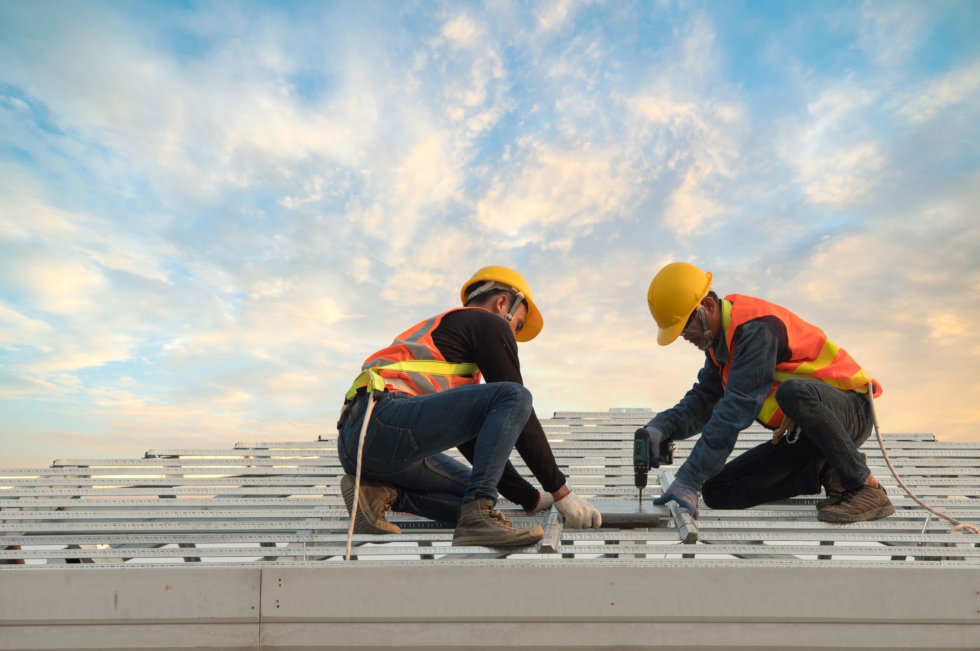 Professional Roofers