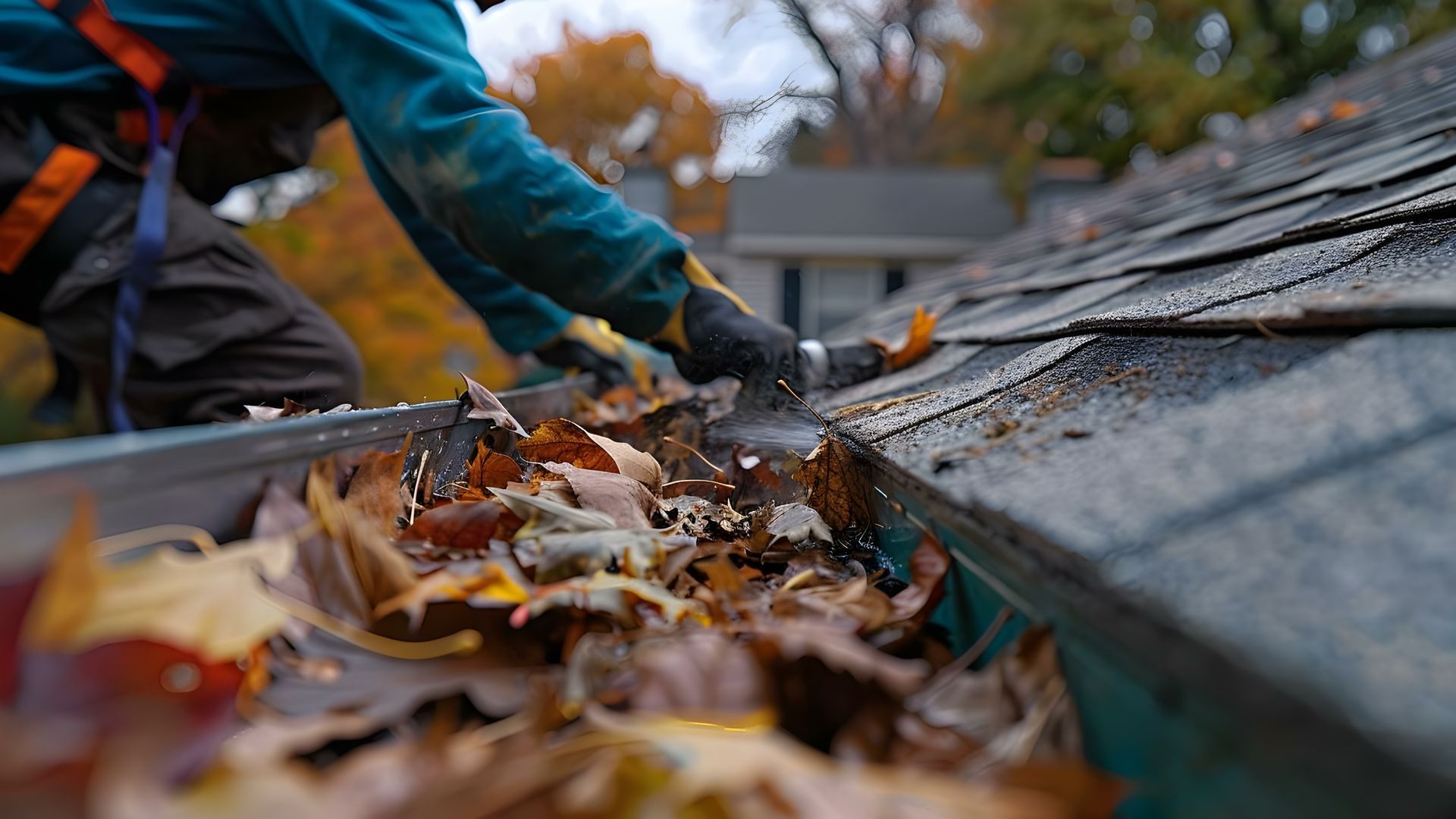 Gutter Cleaning Essential Guide