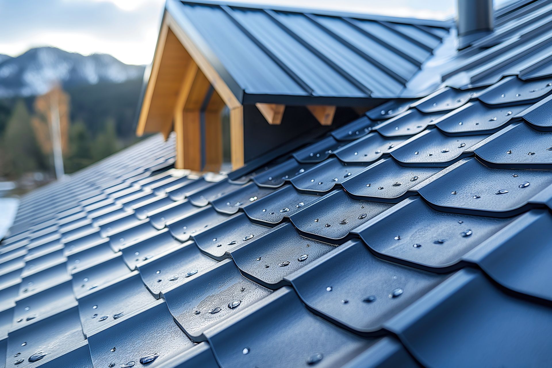 Metal Roofing Company Options