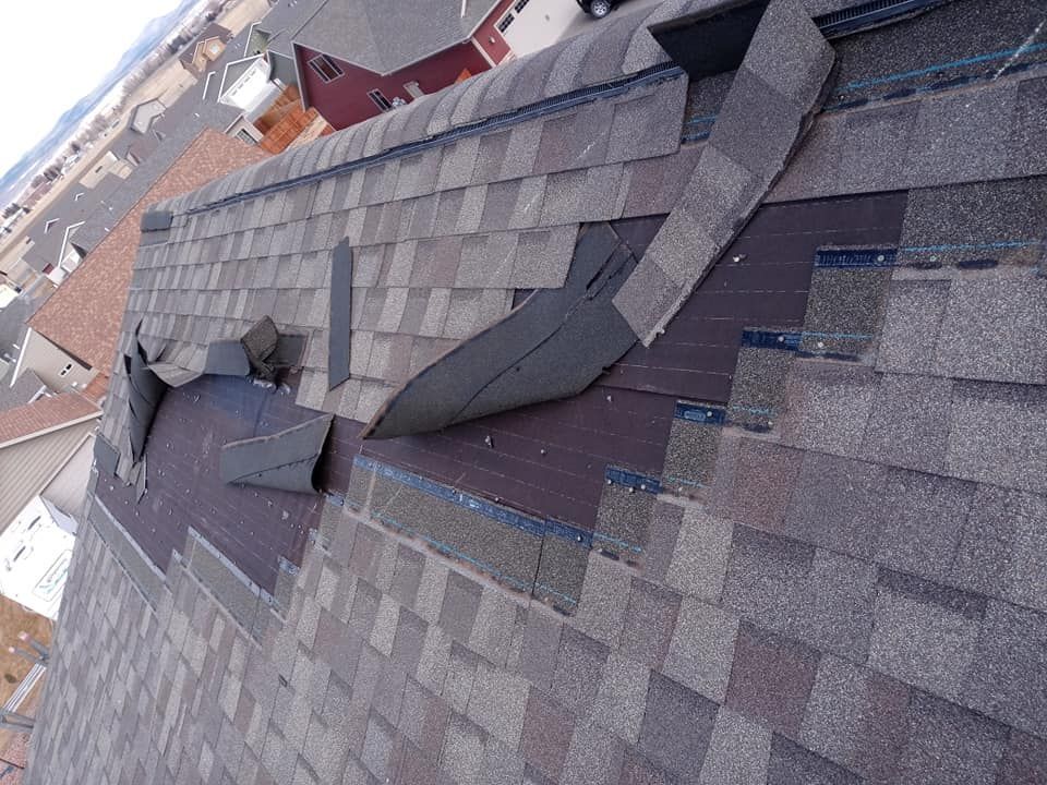 ellingson roofing llc - shingle damage, wind damage, roof damage