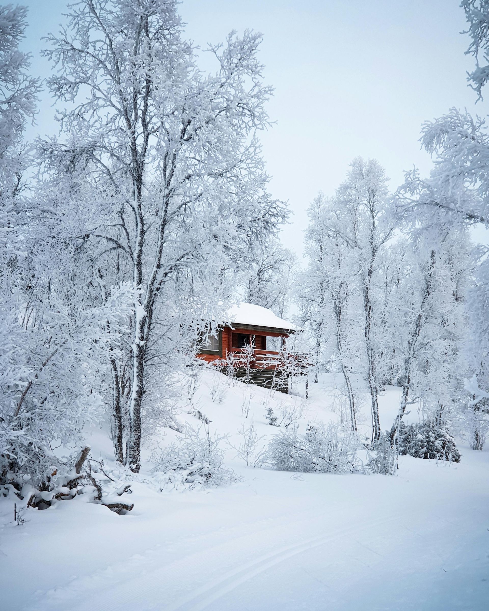 how to prevent ice dams in Missoula MT. Ice dam removal Missoula MT, Missoula Roofers