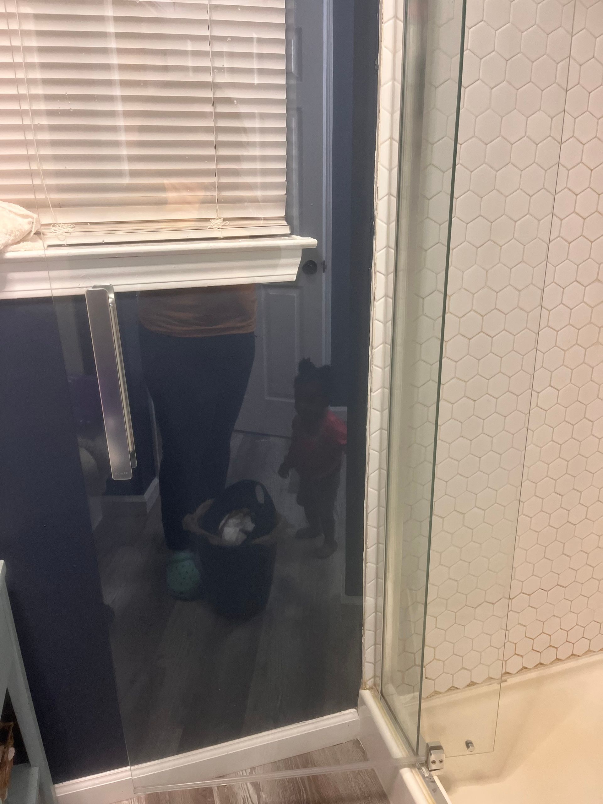 A person standing in front of a window with blinds, a black cat, and part of a glass shower door.