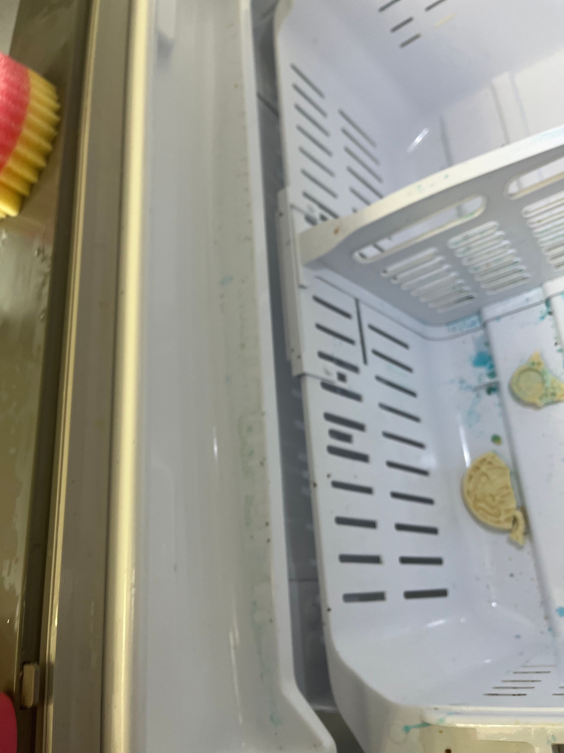 Inside of a refrigerator, looking down, shows shelves and walls. The refrigerator is empty and appears to need cleaning.