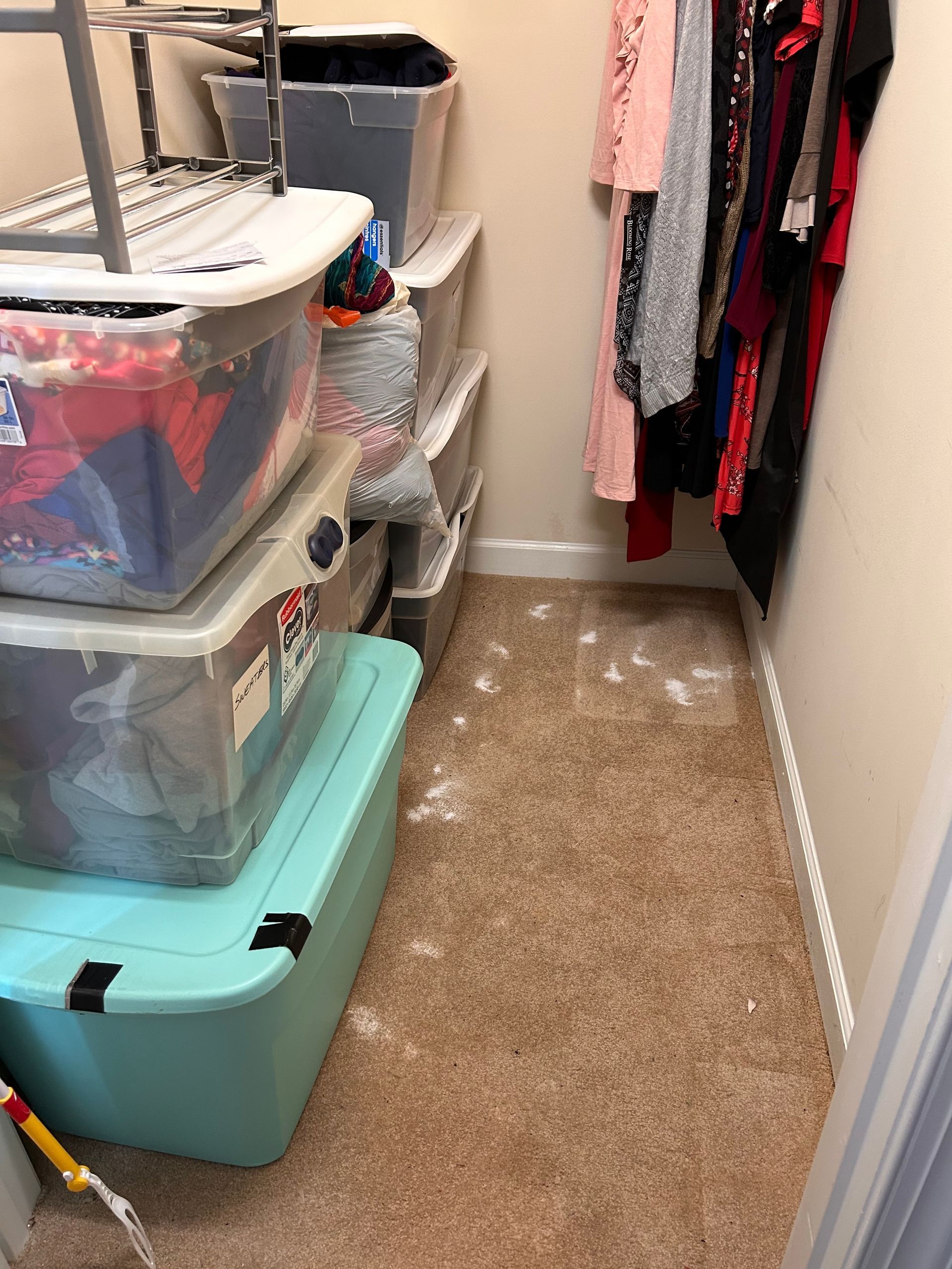 A small, cluttered closet with stacks of storage bins and hanging clothes. The carpeted floor has white spots.
