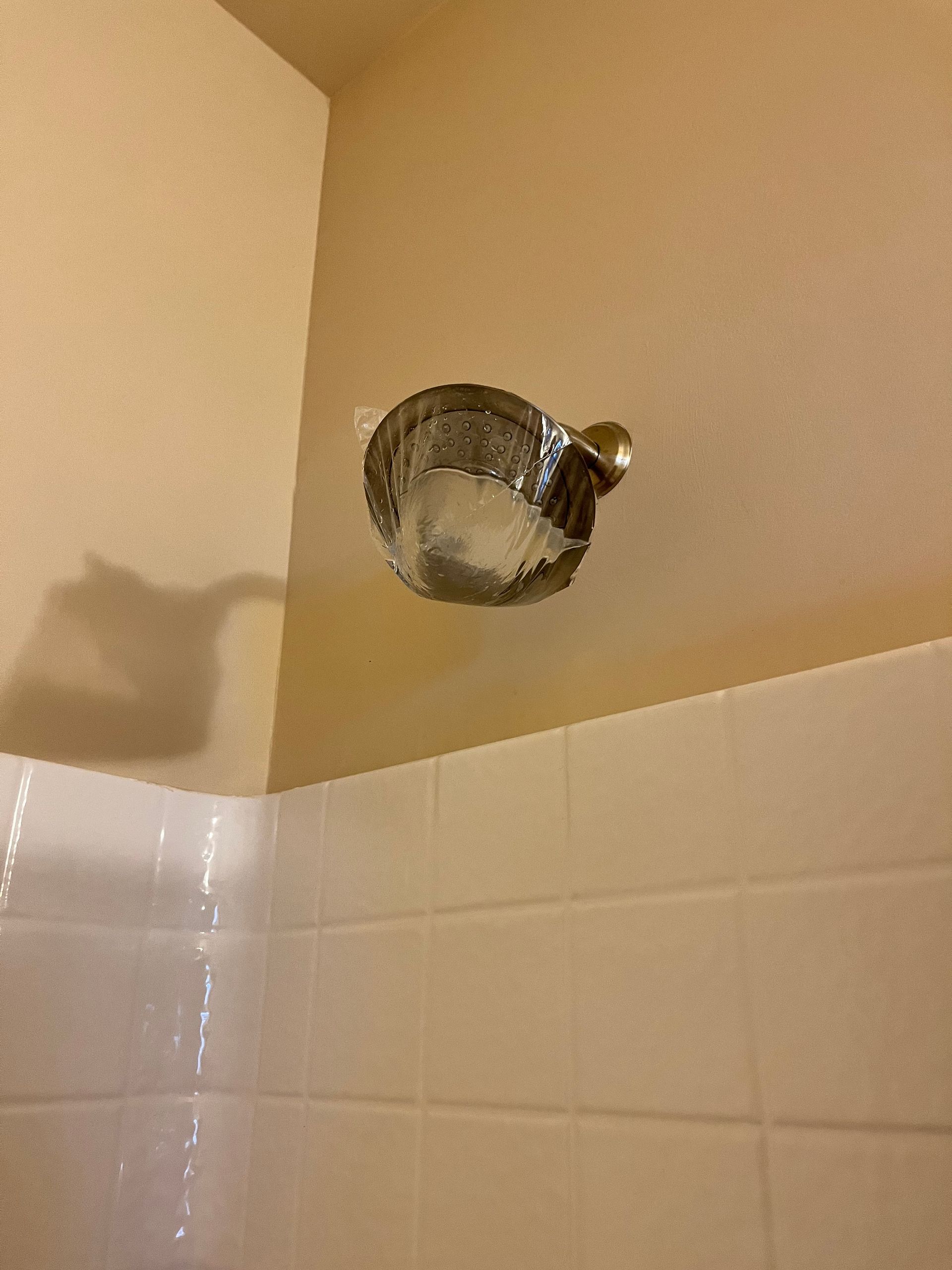 Shower head against a beige wall with white tile. The shower head is metallic with a gold knob.
