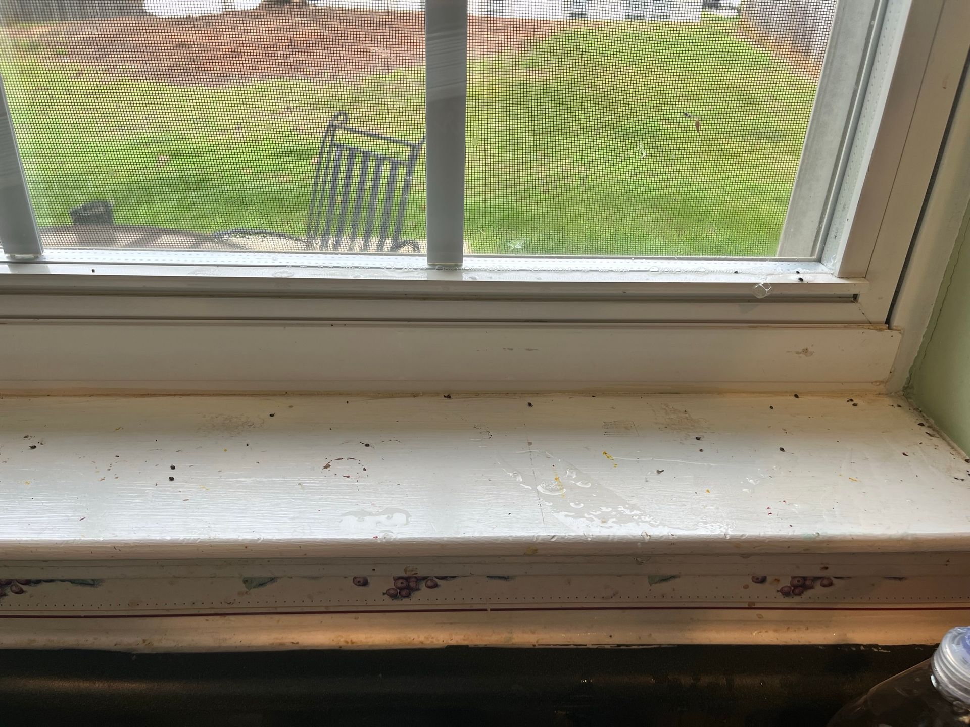 White window sill with small black specks against a green lawn backdrop. The window has a screen and white frame.