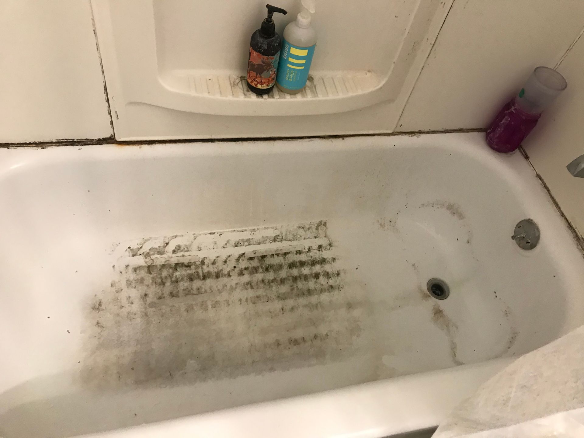 A dirty bathtub with black mold across the bottom and along the edges. Two bottles sit on a shelf above the tub.