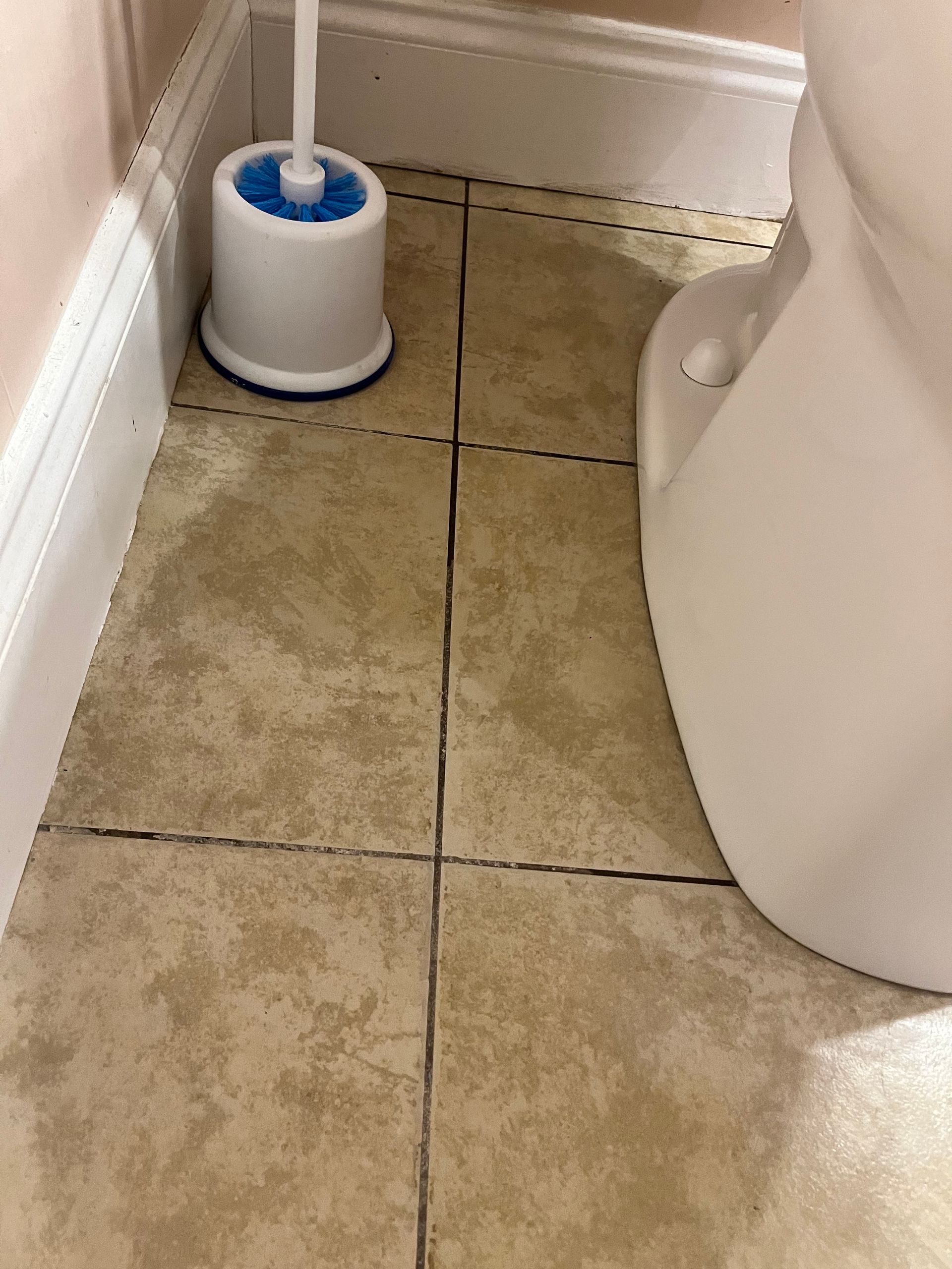 Beige tiled bathroom floor with a toilet and toilet brush.