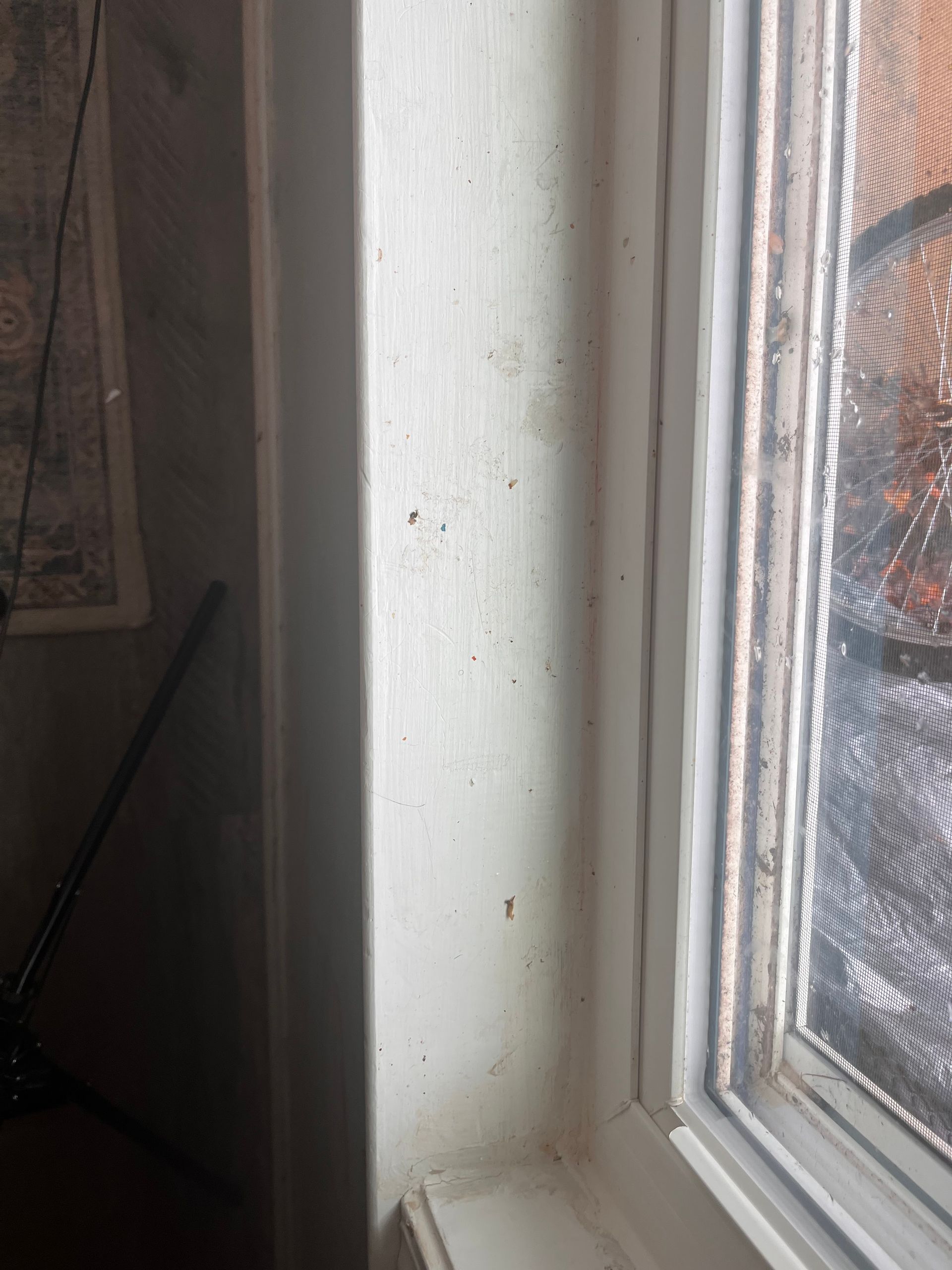White window frame and wall with dark spots, likely mold. The window has a screen.