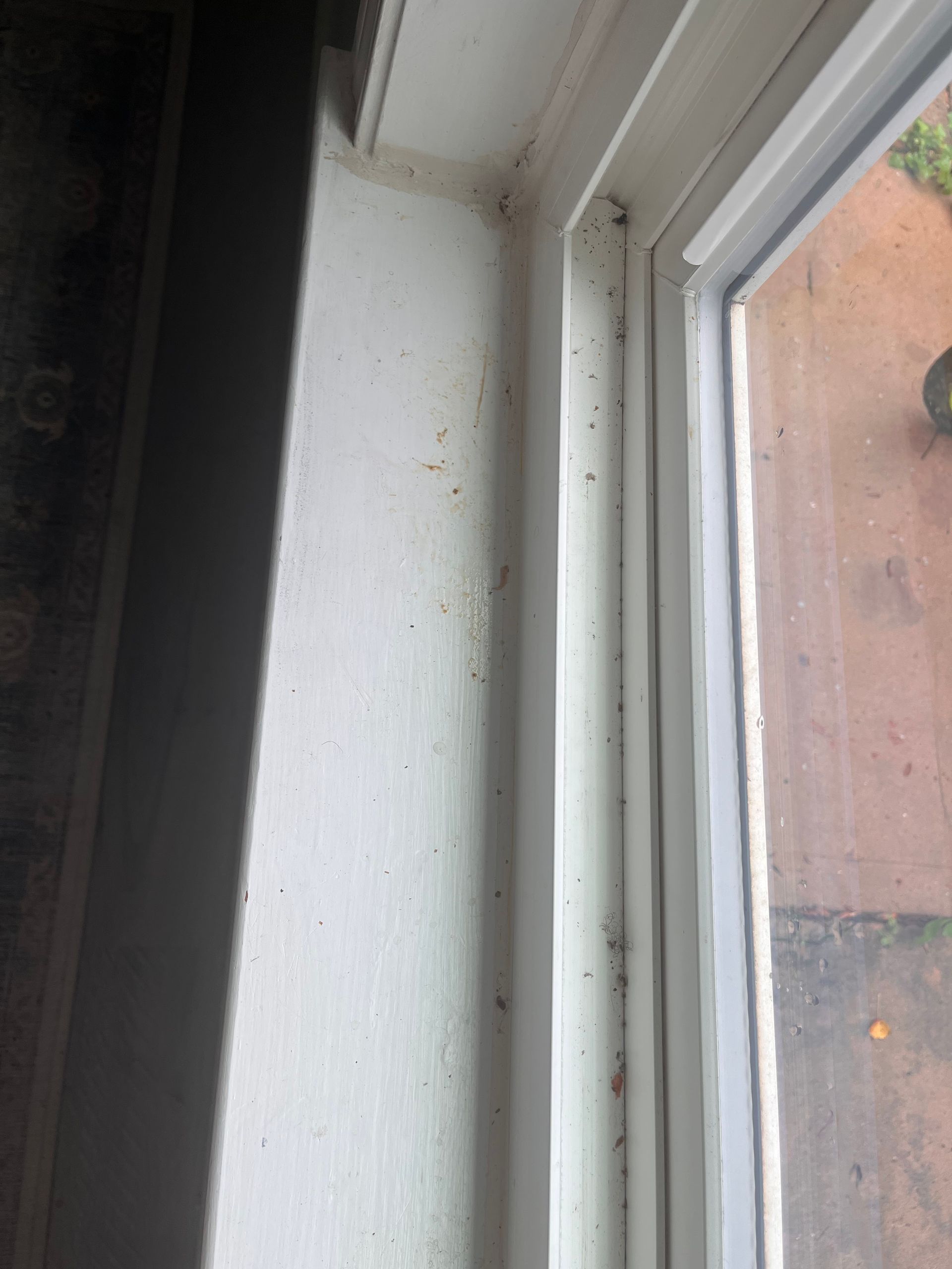 Close-up of a white window frame and adjacent wall speckled with dirt and debris.